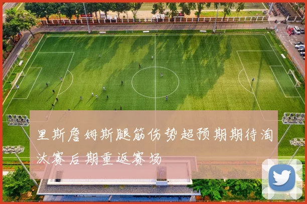 里斯詹姆斯腿筋伤势超预期期待淘汰赛后期重返赛场