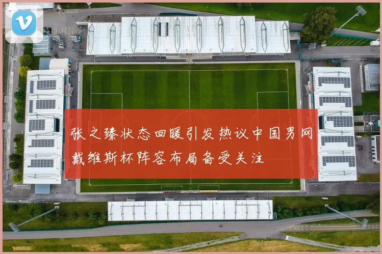 张之臻状态回暖引发热议中国男网戴维斯杯阵容布局备受关注