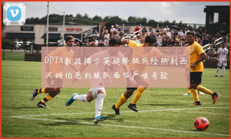 OPTA数据揭示英超降级风险热刺西汉姆伯恩利狼队面临严峻考验